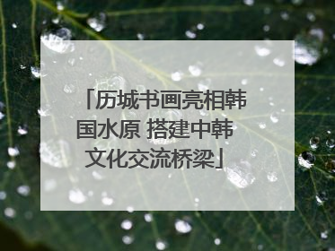 历城书画亮相韩国水原 搭建中韩文化交流桥梁