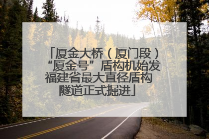 厦金大桥（厦门段）“厦金号”盾构机始发 福建省最大直径盾构隧道正式掘进