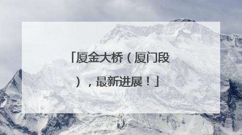 厦金大桥（厦门段），最新进展！