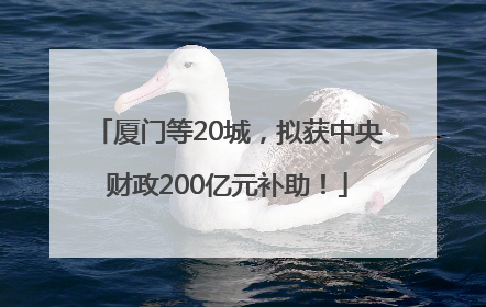 厦门等20城，拟获中央财政200亿元补助！