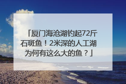 厦门海沧湖钓起72斤石斑鱼！2米深的人工湖为何有这么大的鱼？