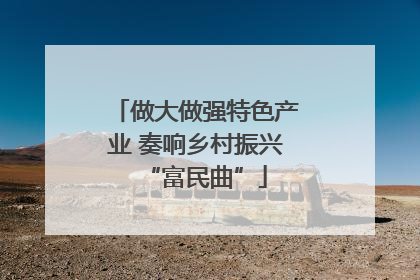 做大做强特色产业 奏响乡村振兴“富民曲”