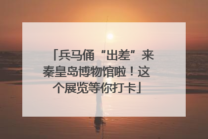 兵马俑“出差”来秦皇岛博物馆啦！这个展览等你打卡