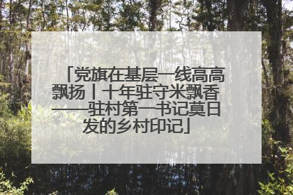 党旗在基层一线高高飘扬丨十年驻守米飘香——驻村第一书记莫日发的乡村印记
