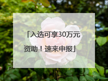 入选可享30万元资助！速来申报