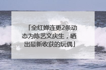 全红婵连更2条动态为陈艺文庆生，晒出最新收获的玩偶