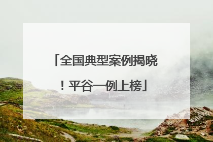 全国典型案例揭晓！平谷一例上榜