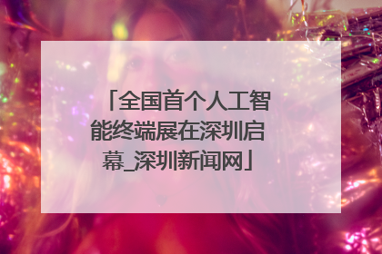 全国首个人工智能终端展在深圳启幕_深圳新闻网