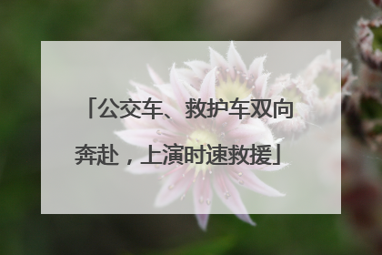 公交车、救护车双向奔赴，上演时速救援