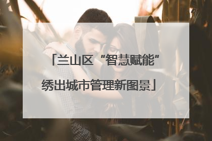 兰山区“智慧赋能”绣出城市管理新图景