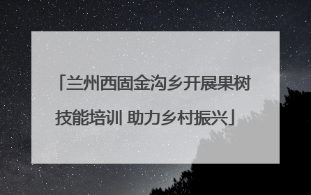 兰州西固金沟乡开展果树技能培训 助力乡村振兴