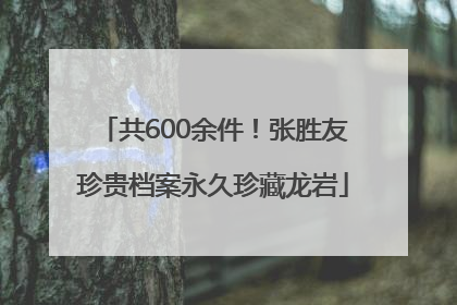 共600余件！张胜友珍贵档案永久珍藏龙岩