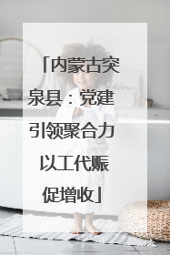 内蒙古突泉县：党建引领聚合力 以工代赈促增收