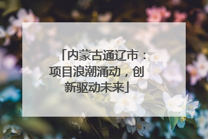 内蒙古通辽市：项目浪潮涌动，创新驱动未来