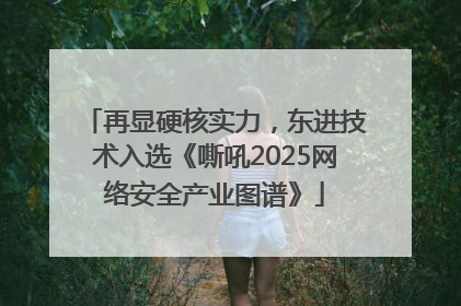 再显硬核实力，东进技术入选《嘶吼2025网络安全产业图谱》