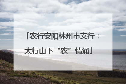 农行安阳林州市支行：太行山下“农”情涌