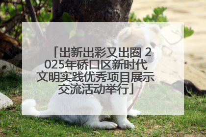 出新出彩又出圈 2025年硚口区新时代文明实践优秀项目展示交流活动举行