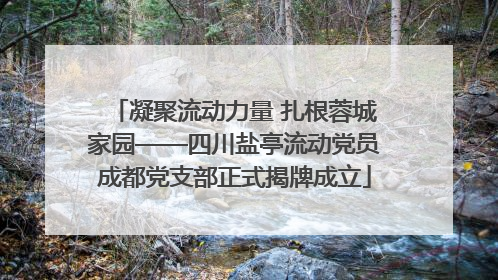 凝聚流动力量 扎根蓉城家园——四川盐亭流动党员成都党支部正式揭牌成立
