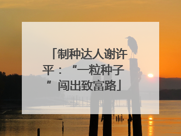 制种达人谢许平：“一粒种子”闯出致富路