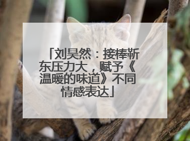 刘昊然：接棒靳东压力大，赋予《温暖的味道》不同情感表达