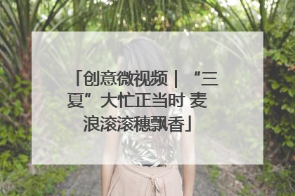 创意微视频｜“三夏”大忙正当时 麦浪滚滚穗飘香