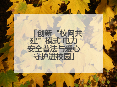 创新“校网共建”模式 电力安全普法与爱心守护进校园