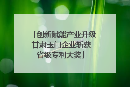 创新赋能产业升级 甘肃玉门企业斩获省级专利大奖