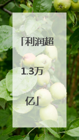 利润超1.3万亿