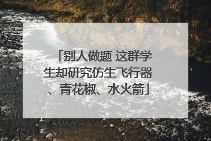 别人做题 这群学生却研究仿生飞行器、青花椒、水火箭