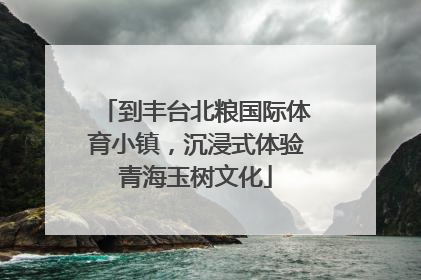 到丰台北粮国际体育小镇，沉浸式体验青海玉树文化