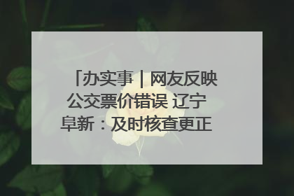 办实事｜网友反映公交票价错误 辽宁阜新：及时核查更正 加强实时巡检