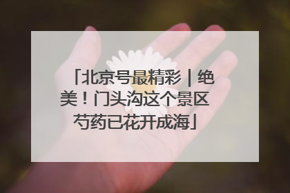 北京号最精彩｜绝美！门头沟这个景区芍药已花开成海