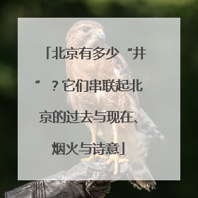 北京有多少“井”？它们串联起北京的过去与现在、烟火与诗意