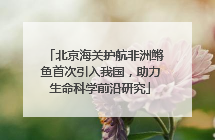 北京海关护航非洲鳉鱼首次引入我国，助力生命科学前沿研究