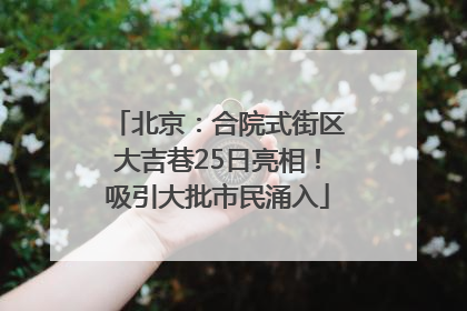 北京：合院式街区大吉巷25日亮相！吸引大批市民涌入