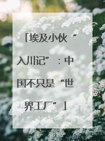 埃及小伙“入川记”：中国不只是“世界工厂”