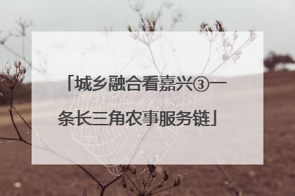 城乡融合看嘉兴③一条长三角农事服务链