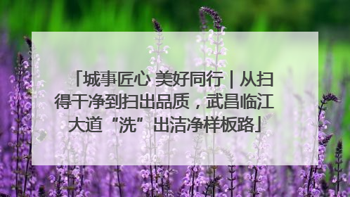 城事匠心 美好同行｜从扫得干净到扫出品质，武昌临江大道“洗”出洁净样板路