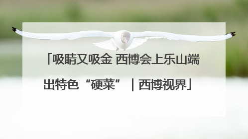 吸睛又吸金 西博会上乐山端出特色“硬菜”｜西博视界