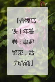 合福高铁十年答卷：串起繁荣，活力奔涌
