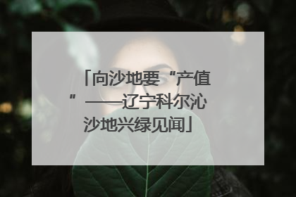 向沙地要“产值”——辽宁科尔沁沙地兴绿见闻