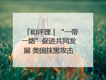 和评理｜“一带一路”促进共同发展 美国抹黑攻击酸味十足
