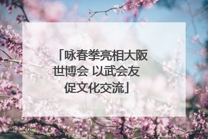 咏春拳亮相大阪世博会 以武会友促文化交流