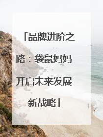 品牌进阶之路：袋鼠妈妈开启未来发展新战略