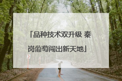 品种技术双升级 秦岗葡萄闯出新天地