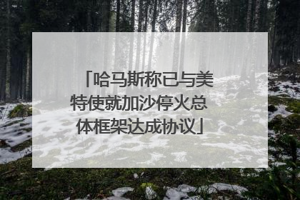 哈马斯称已与美特使就加沙停火总体框架达成协议