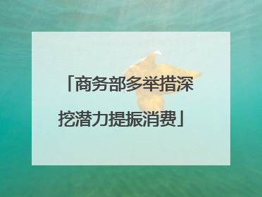 商务部多举措深挖潜力提振消费
