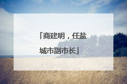 商建明，任盐城市副市长