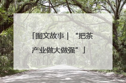 图文故事｜“把茶产业做大做强”