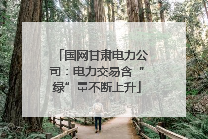 国网甘肃电力公司：电力交易含“绿”量不断上升